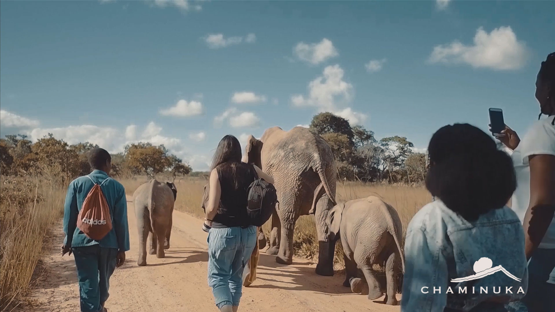 Chaminuka Day Visit package
